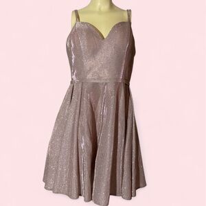 Dancing Queen Shimmering Silver Pink Dress